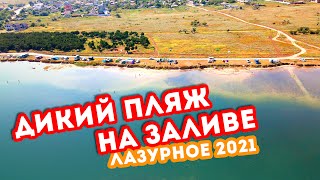 ДИКИЙ ПЛЯЖ ЛАЗУРНОЕ 2021 НА ДЖАРЫЛГАЧСКОМ ЗАЛИВЕ / МАЛЕНЬКИЙ ДЕЛЬФИН