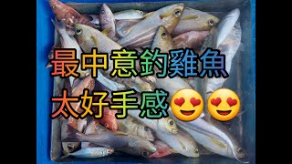 【香港艇釣精華】X 第51集(2/2)節-(下午)宋崗鯉魚門釣魚魚獲Vlog ｜爆釣肥雞魚｜雜魚｜13112022 #香港釣魚 #釣魚