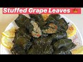 Stuffed Grape Leaves 🍁 طريقة عمل محشي ورق العنب