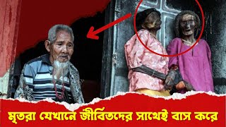 মৃতরা যেখানে জীবিতদের সাথেই বাস করে। Trojan Tribe in Indonesia || Rohosso Unmochon