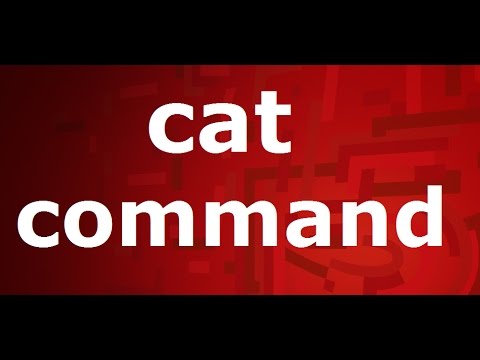cat command (concatenation) in Linux