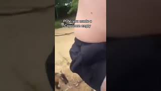 Pov: You made a Capricorn angry #shorts #capricorn ♑🐐