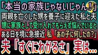 【感動する話】幼くして両親を亡くした甥を引き取り養子に迎えた私と夫。甥「本当の家族じゃない！」家族として受け入れてもらえず数週間経った…しかしある日を境に急接近！私「あの子に何したの？」実は夫…