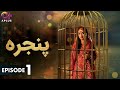 Pakistani Drama | Pinjra - Episode 1 | Aplus Gold | Yumna Zaidi, Nauman Aijaz | CZ2O