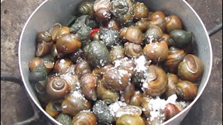 Cambodia journey - Snails cooking/boiling with salt - The countryside food