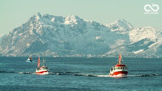 Lofotfisket - Henningsvær