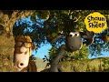 Shaun the Sheep 🐑 Apple Pie and Sheep - Cartoons for Kids 🐑 Full Episodes Compilation [1 hour]