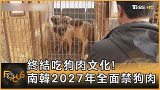 終結吃狗肉文化! 南韓2027年全面禁狗肉｜方念華｜FOCUS全球新聞 20240110@tvbsfocus