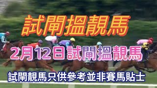 2月12日試閘搵靚馬