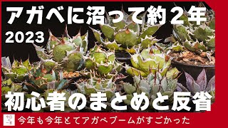 【年末】2023年も熱かった超ブームな珍奇植物「アガベ」がうちでも着々と増えたので振り返っていきたい