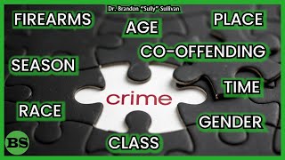 Crime Patterns & Trends: A Basic Overview