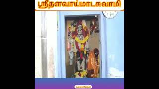 தளவாய் மாட சாமி(5)