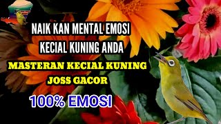 MENAIKKAN MENTAL DAN EMOSI KECIAL KUNING ANDA