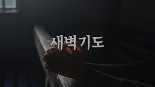 [새벽예배] 강해설교 (느헤미야 2:1-10)_구지충성교회_20250226(수)