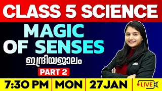 Class 5 Basic science  | Magic of Senses / ഇന്ദ്രിയജാലം | Part 2 | Exam Winner Class 5