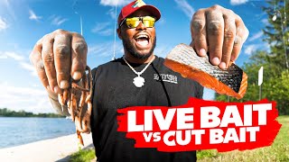 Live Bait VS Cut Bait Catfish Bait Challenge