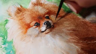 Watercolor Pomeranian Dog Step by Step Tutorial