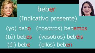 スペイン語  -er動詞 (例 beber) 直接法現在形の活用