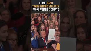 Trump Bans Transgenders From Women's Sports | NDTV Profit