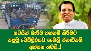 ගවයින් මැරීම තහනම් වෙන ලකුණු අලමු වෙඩිමුරයට ජනපති අත්සන තබයි.