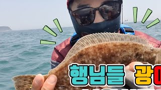 [신바람낚시TV] 천리포 카약피싱~ 광어야 어데 숨었노?? / kayak fishing