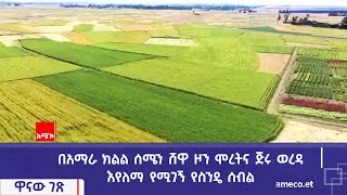 በአማራ ክልል ሰሜን ሸዋ ዞን ሞረትና ጅሩ ወረዳ እየለማ የሚገኝ የስንዴ ሰብል