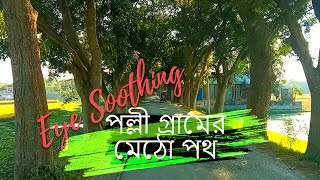 Eye Soothing Village Road | পল্লী গ্রামের আঁকাবাঁকা মেঠো পথ | অপরূপ বাংলা | Beautiful Bangladesh