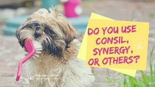 Consil, Synergy, Or Others? Veterinary Dentist Shares His Preference