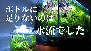 誰も失敗しないボトルアクアを作りたい【水換え簡単！ドリンクサーバー濾過水槽】