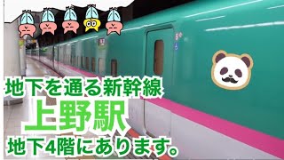 【電車】地下にある上野駅の新幹線ホームで撮影動画です。　＃東北新幹線　＃北陸新幹線　＃上越新幹線　#tsubasa