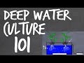 Deep Water Culture (DWC) Hydroponics System Tutorial