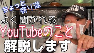 ちょっと番外編！YouTubeの仕組みと現実！厳しい世界　ボールパイソン　爬虫類　飼育　ブラッドパイソン　ヘビ　トカゲ