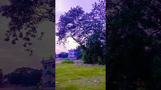 সুন্দর বিকেল #shortvideo #shortsvideo #youtubevideo #neature #evening #cinematography #beautifulday