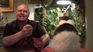 #2909 4th Anniversery Imperial Porter - Browar Rockmill - Inklusive kelsjuk katt