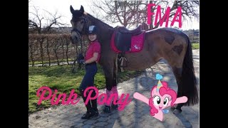 Lenispferdewelt - FMA Pinkes Pony💕