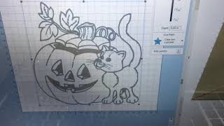 Halloween Pumpkin Carving with Cat Plus Much More
