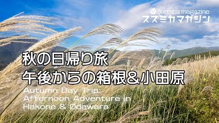 【見頃到来】仙石原すすき草原へ秋の日帰り【午後からの箱根＆小田原旅】 #仙石原すすき草原 #箱根観光 #日帰り旅 #小田原城 #小田原ミナカ