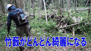 草刈りをするたびにどんどん竹藪が綺麗になって気持ちよくなる