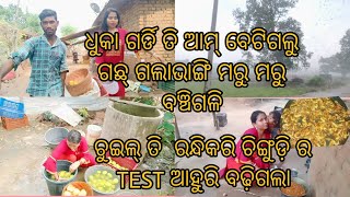 ଟିକେ ଟିକେ ରେ ବଞ୍ଚି ଗଳି ଏତେ ଧୁକା ଗର୍ଡି ଗଛ ଭାଗିଗଲା😔😢ଏତେ ସାରା ଆମ୍ବ WOW😲 ଚିଙ୍ଗୁଡ଼ି ବେସର🤤ଆଉ ନାଇ ଦେଖିଥିତେ