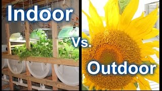 Suburban Aquaponics - Indoor Vs Outdoor Gardening