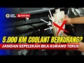 Normalkah  Bila Air Reservoir Radiator Berkurang? Berapa batas normalnya?