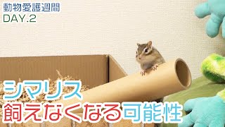 シマリスは飼えなくなる可能性があります