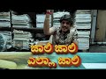 ಜಾಲಿ ಜಾಲಿ ಎಲ್ಲ ಜಾಲಿ jaali jaali ella jaali kannada movies sandalwood production comedy