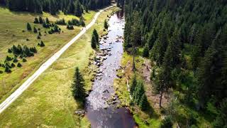 The #Jizera #River#Poland 4K UHD