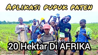 APLIKASI PATEN DI AFRIKA | 20 HEKTAR