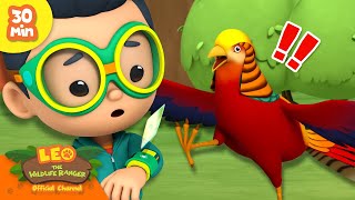 STOP CHASING ME, BIRD! 🐦 | Fast Animals 🏃‍♂️💨 | Leo the Wildlife Ranger | Kids Cartoons