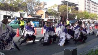 第5回京都さくらよさこい(2009年)　関学よさこい連 炎流　御池通パレード会場