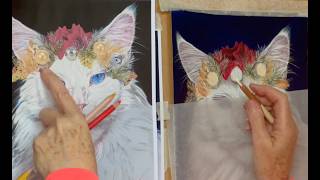 Christmas Cat Angel Part 10: How to draw a Maine Coon Cat! HIS HEADDRESS CONTINUED. ASMR ART