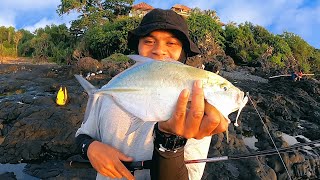 TERCIDUK!!! INI DIA SARANG SPOT BLUEFIN DAN TALANG TALANG DI PANTAI MIMBA PADANG BAI