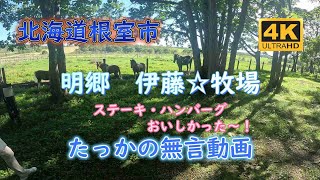 北海道根室市　明郷「伊藤☆牧場」[いろんな場所の動画]ランチ食べてきました